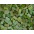 Verde medio Tessere smalti per mosaico miscela  n.12